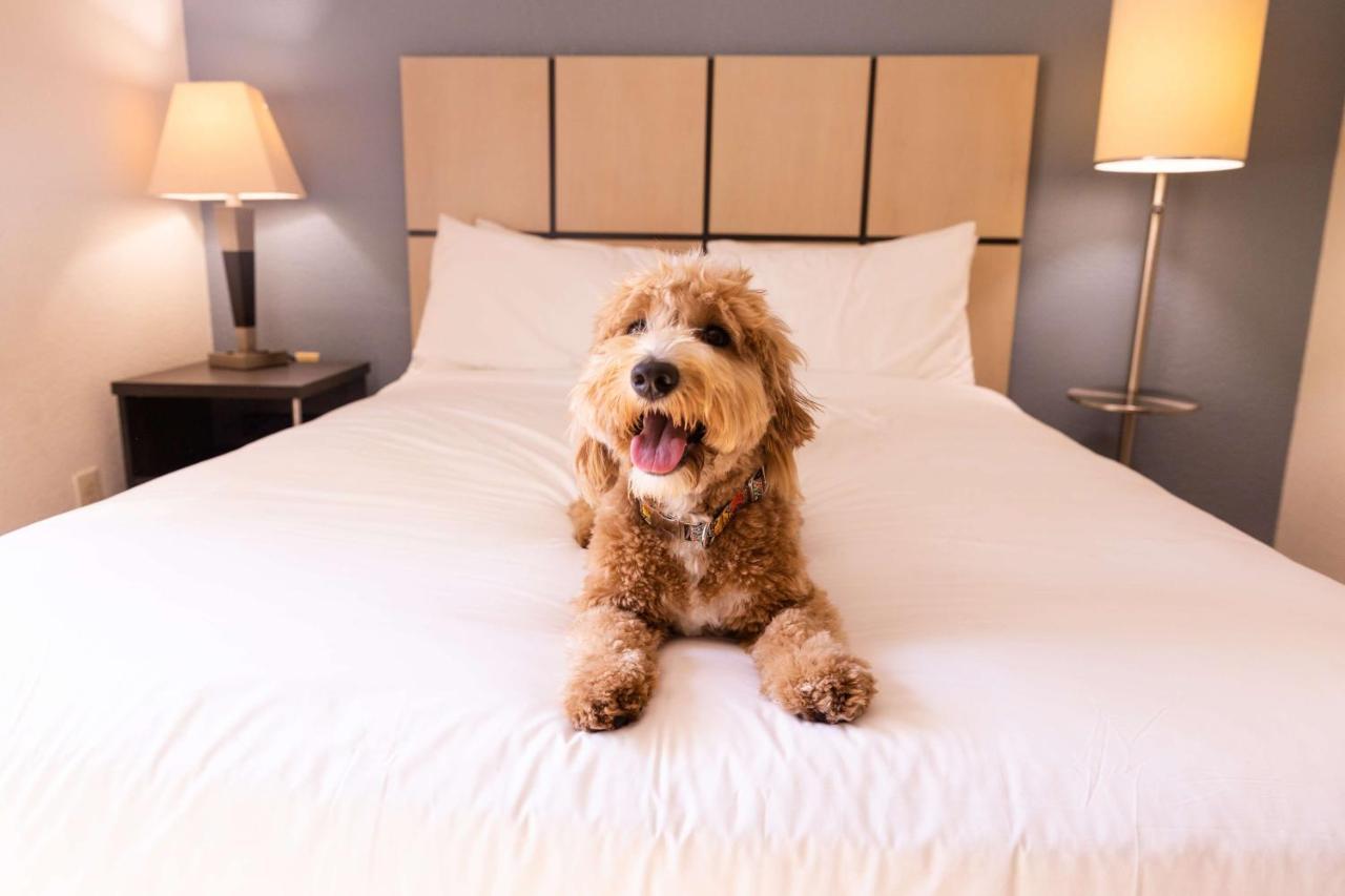 Sonesta Simply Suites Birmingham フーバー エクステリア 写真